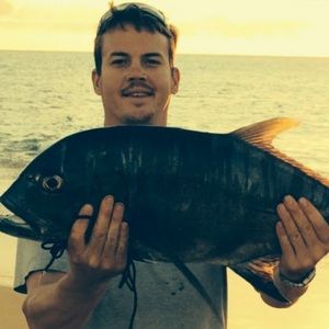 Meet your Posher, Barry